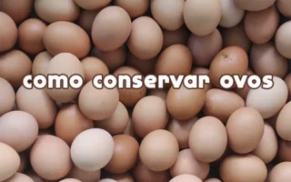 Como armazenar Ovos - Aprenda AGORA a forma correta!