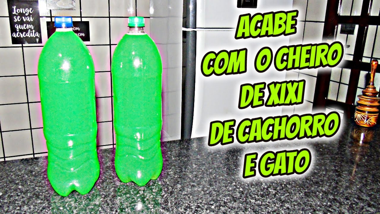Aprenda agora a eliminar cheiro de urina de gato e cachorro com estas dicas!!!