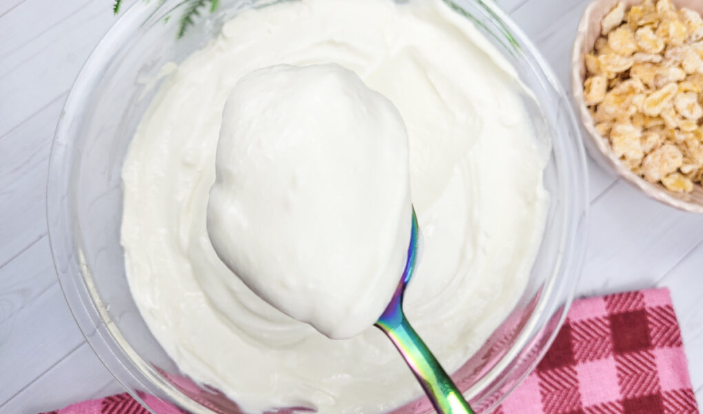 Como fazer Iogurte Natural na Air Fryer - Leva só 2 ingredientes!!!