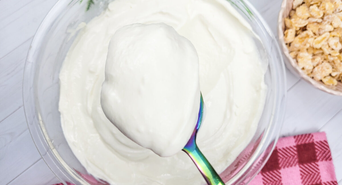 Como fazer Iogurte Natural na Air Fryer - Leva só 2 ingredientes!!!